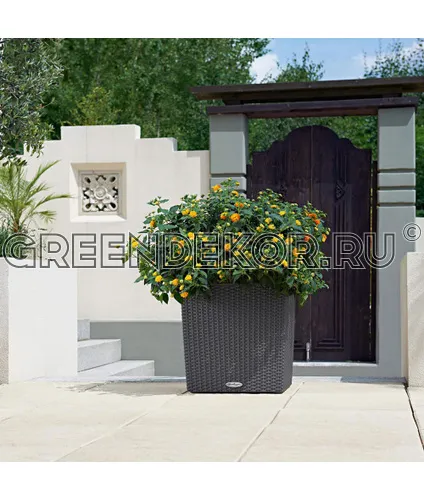 КАШПО LECHUZA CUBE COTTAGE (СВЕТЛО-СЕРЫЙ) ДИАМЕТР 50СМ ВЫСОТА 50СМ фото 6