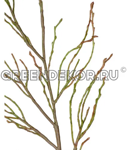 Ветвь зелено-коричневая (искусственная) высота 70 см фото 2