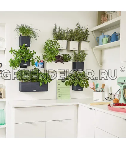 КАШПО LECHUZAGREEN WALL HOME KIT COLOR (СЕРЫЙ)  фото 3