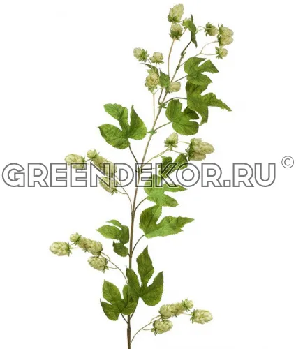 Хмель ветка большая светло-зелёная (искусственная) высота 150 см