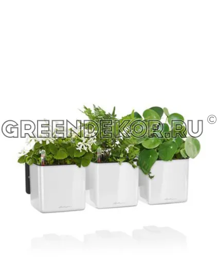 КАШПО LECHUZAGREEN WALL HOME KIT GLOSSY (АНТРАЦИТОВЫЙ)  фото 2