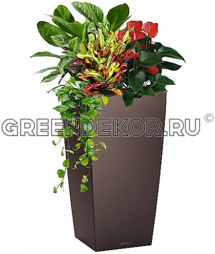 Композиция "Оранжевый микс" XXL в кашпо с автополивом LECHUZA Кофе металлик высота  130 см
