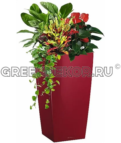 Композиция "Оранжевый микс" XXL в кашпо с автополивом LECHUZA Ярко-красный высота  130 см