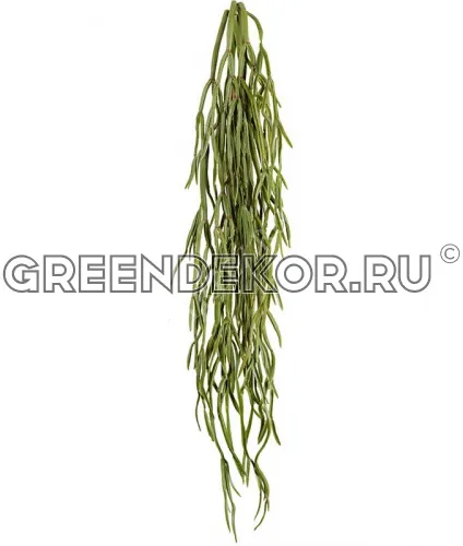 Хойя Линиарис Фэт куст ампельный (искусственная) длина 72 см