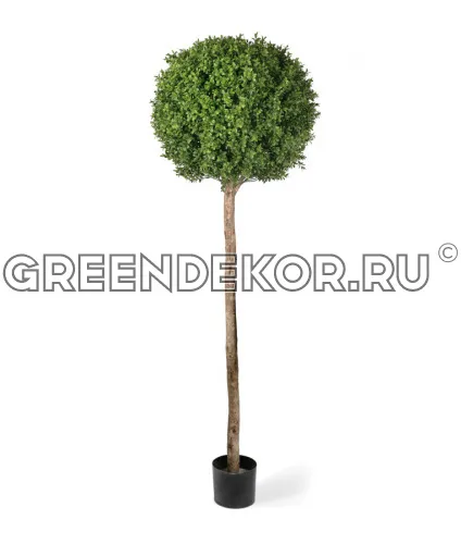 Самшиты Шары уличные на высоком стволе (искусственные) высота 105 см