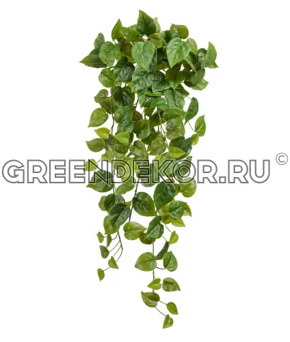 Филодендрон Сканденс ампельный (искусственный) длина 80 см фото 4