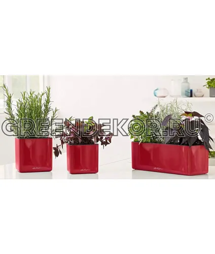 КАШПО LECHUZA CUBE GLOSSY 17 (ВИШНЕВЫЙ) фото 5