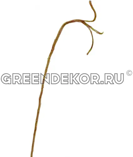 Ветка Салекса тонкая (искусственная) высота 71 см