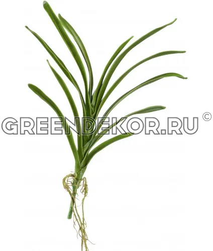 Листья орхидеи Ванды с корнями (искусственные) высота 40 см