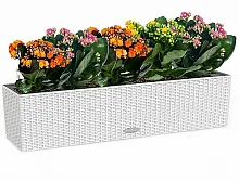 Каланхоэ макси в кашпо с автополивом LECHUZA Белый высота 40 см