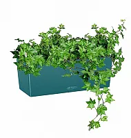 Плющ в кашпо с автополивом LECHUZA Бирюзовый высота 50 см