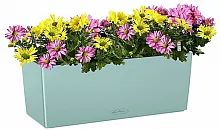 Микс из хризантем яркий в кашпо с автополивом LECHUZA Голубой высота 40 см