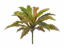 Асплениум Криспи Вэйв куст (искусственный) высота 40 см