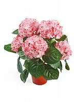 Гортензия куст розовый в горшке (искусственный) Высота 35 см