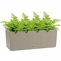 Асплениумы Парвати в кашпо Lechuza Balconera Stone 50 светло-бежевый Высота 30 см