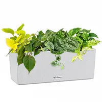 Ампельный микс в кашпо Lechuza Balconera Stone 50 песочный белый Высота 30 см