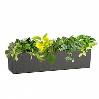 Ампельный микс в кашпо Lechuza Balconera Stone 80 светло-бежевый Высота 30 см