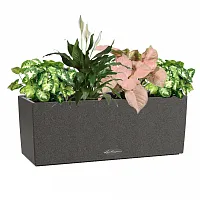 Композиция-микс 7 в кашпо Lechuza Balconera Stone 50 графитовый черный Высота 40 см